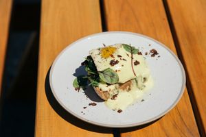 SUNNY-DAISE at Crux in Semaphore