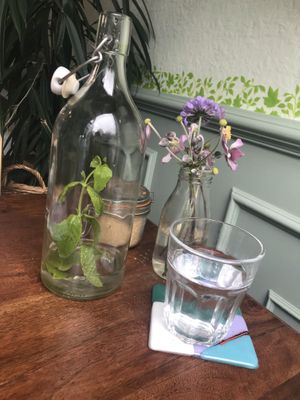 cafe aesthetic at The Greenhouse Cafe in Felixstowe