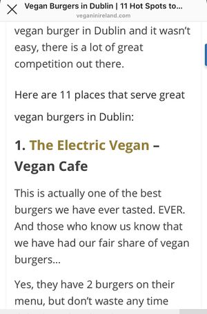 Review from Vegan Dublin food Tours  at The Electric Vegan in Dublin