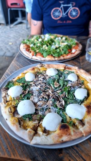 Las vega and alpha beta vega at Otomat in Bruges