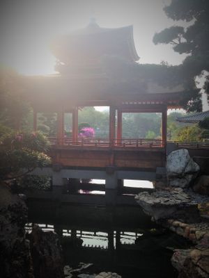 14 at Chi Lin Vegetarian in Kowloon