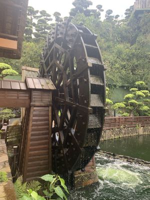 Next to the restaurant  at Chi Lin Vegetarian in Kowloon