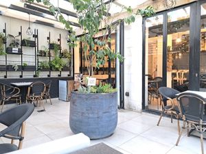 Outdoor and indoor seating at Pepper & Pine Co in Amman