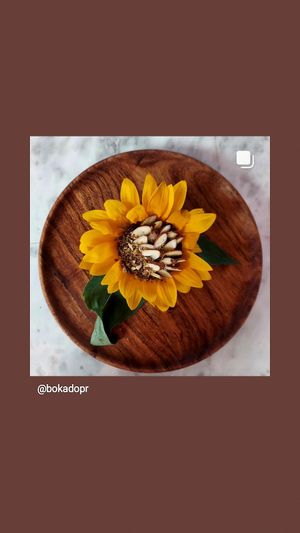 Aemilia
Stuffe sunflower, date crust avocado, chocolate and coconut pudding at Bo.ka.do in Mayaguez