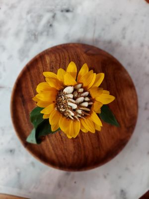  at Bo.ka.do in Mayaguez