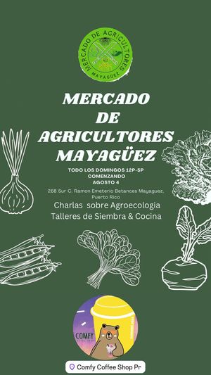 Super agradecida por la invitación de @ma_mayaguez y la oportunidad de colaborar con un KITCHEN DEMO inspirado por la cosecha de los agricultores residentes que forman parte de é at Bo.ka.do in Mayaguez