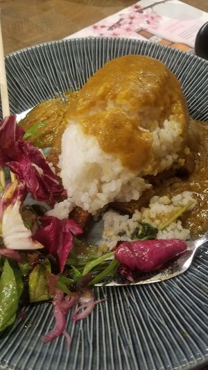 Vegan setain and rice at Wagamama - Clink St in South East London
