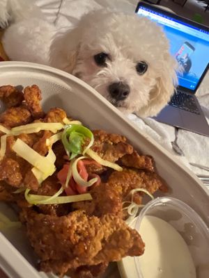 Vegan chicken with dipping sauce and our little Frances at  Wagamama - Hampstead in North West London