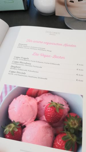 Vegan Menu at Eiscafe Dolomiti in Konstanz