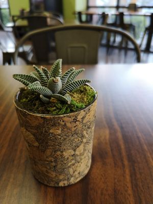 Sober, simple and lovely decoration at POTs - Cloud Kitchen in Las Vegas