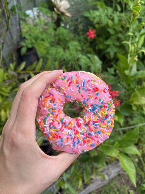   at Grumpy Donuts in Camperdown