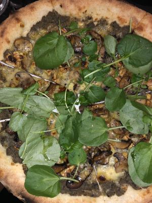Mushroom  pizza w Vegan cheese! Generous sized! at The Fermentist in Christchurch