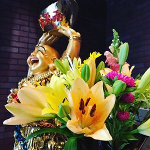 . at 7 Nana in North Billerica