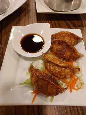 Vegan pork dumplings, fried at Blue Taro in Rochester