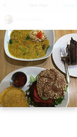 Little Napal bowl, chocolate cheesecake and Joy burger at Perfection - Satisfaction - Promise in Ottawa