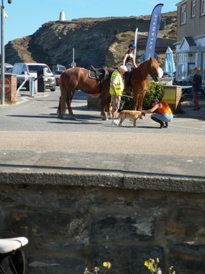  at Pod Café Portreath in Portreath