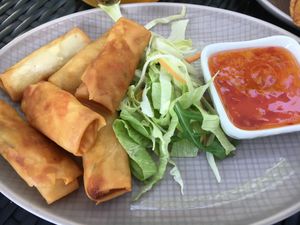 spring rolls  at Nammi in Berlin