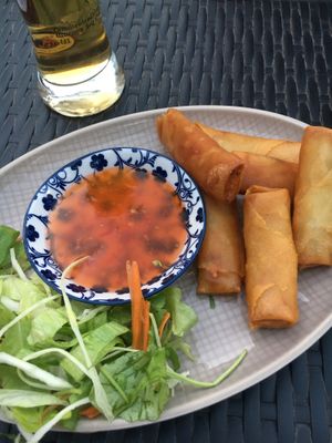 V5 spring rolls at Nammi in Berlin