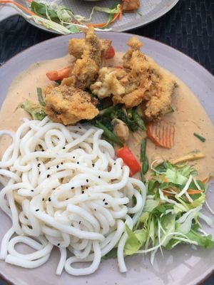 V16 Vegan crispy chicken with udon noodles, peanut sauce, vegetables and salad  at Nammi in Berlin