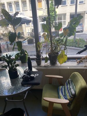   at co Jak co in Poznan