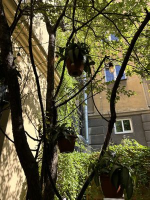   at co Jak co in Poznan