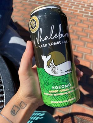 Hard Kombucha  at Carmel Belle in Carmel-by-the-sea