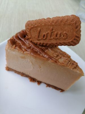  at Bents Garden and Home in Warrington