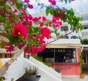 Sooo dreamy at Hambrë  in Ibiza