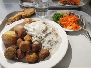 Vegan dish of the day-falafel vegan tzaziki at UniCafe Porthania in Helsinki