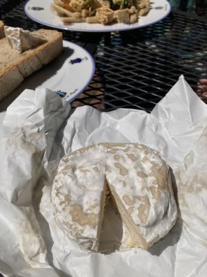 Vegan cheese!  at Sugar Blues by Ha-tha Maya in Florence