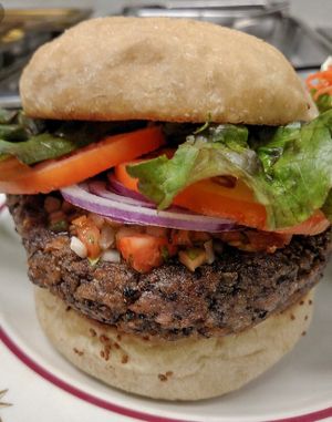 Protein burger (vegan) at Hills' in Spokane
