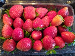 Local strawberries at Food and Thought in Naples