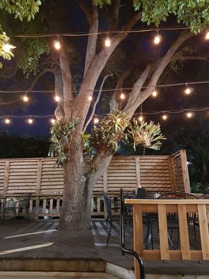  at Food and Thought in Naples