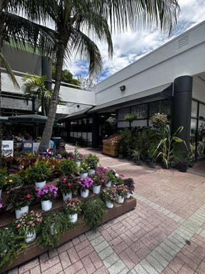   at Food and Thought in Naples