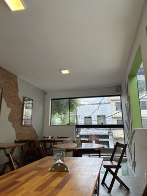   at Haya Falafel in Sao Paulo