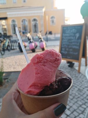 Strawberry and dark chocolate vegan ice cream at Gelateria Sorbetto in Praia Da Rocha
