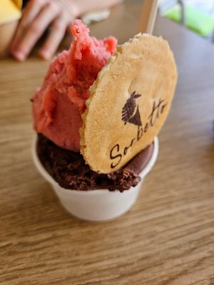  at Gelateria Sorbetto in Praia Da Rocha