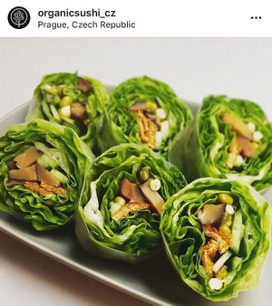 Tofu Furesshumaki   at Organic Sushi in Prague