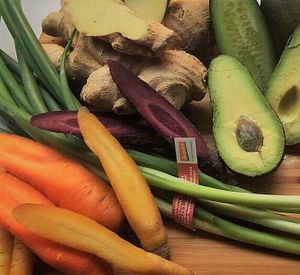 BiOrganic Vegee! at Organic Sushi in Prague