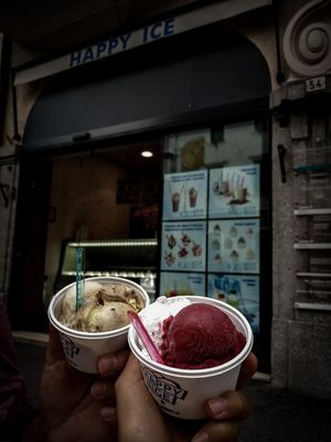 Best vegan ice cream in Meran! at Gelateria Happy Ice in Merano