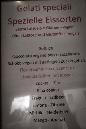 Vegan & Glutenfree options!   at Gelateria Happy Ice in Merano
