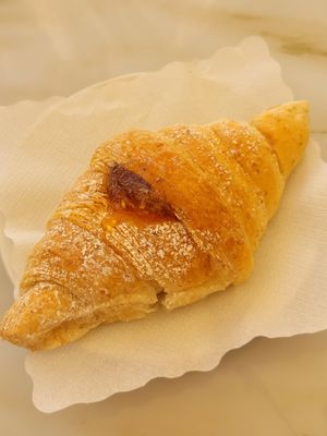 croissant with apricot filling at Antico Caffe Scaletto in Bologna