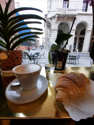 Cappuccino di soia e brioche alla crema at Antico Caffe Scaletto in Bologna