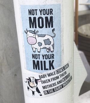 Yasss at Give Cafe in Canggu