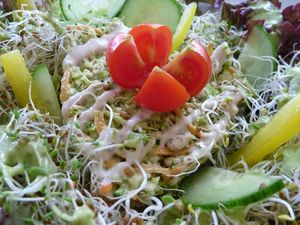 Gorilla-Sprossen-Bowl
decorated with love :-) at Rohkosteria in Mannheim