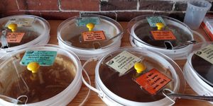  at Herb and Spice in Ottawa