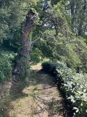 Descente a la piscine at Abriecosy Ecolodge in Bargemon