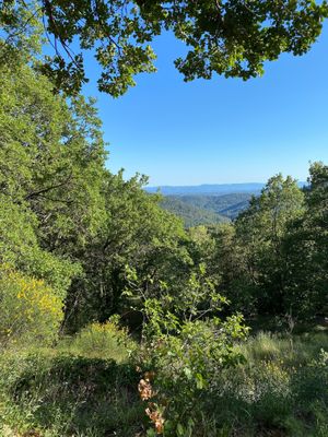 View from our room "Fleur de vie" at Abriecosy Ecolodge in Bargemon