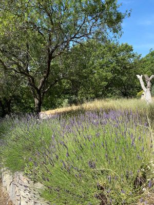 From the parking lot to our room "Fleur de vie" at Abriecosy Ecolodge in Bargemon