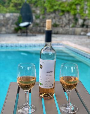 enjoy the regional wines at Abriecosy Ecolodge in Bargemon